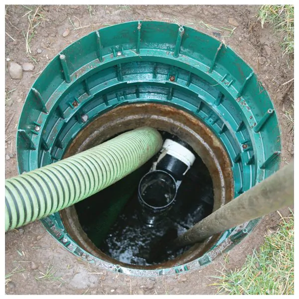 えこ！ ADIDAS ZX 8000 AQUA 2009 US 12 Blue Aqua | eBay